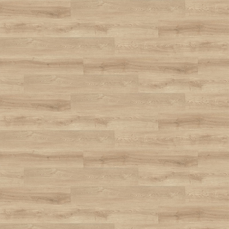 Copen Hill - Image 2