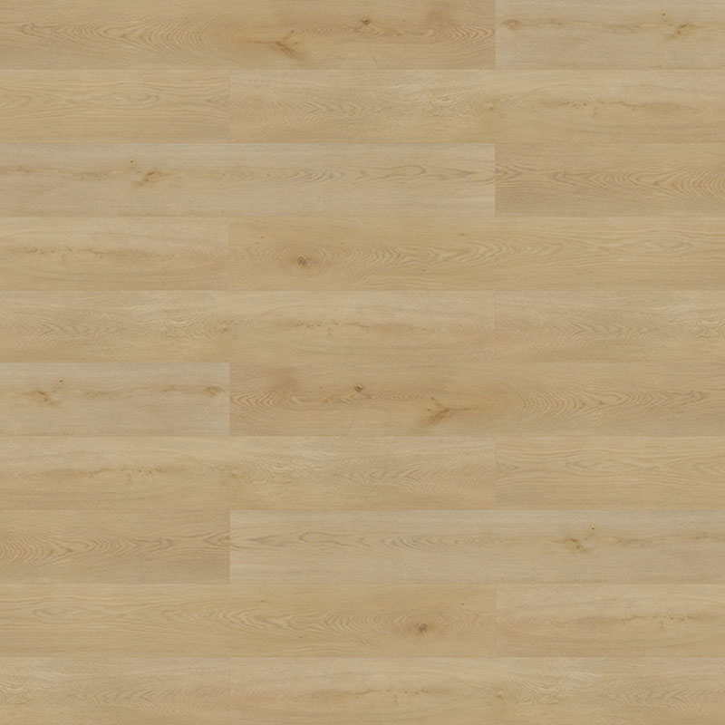 Monte Beach - Image 2