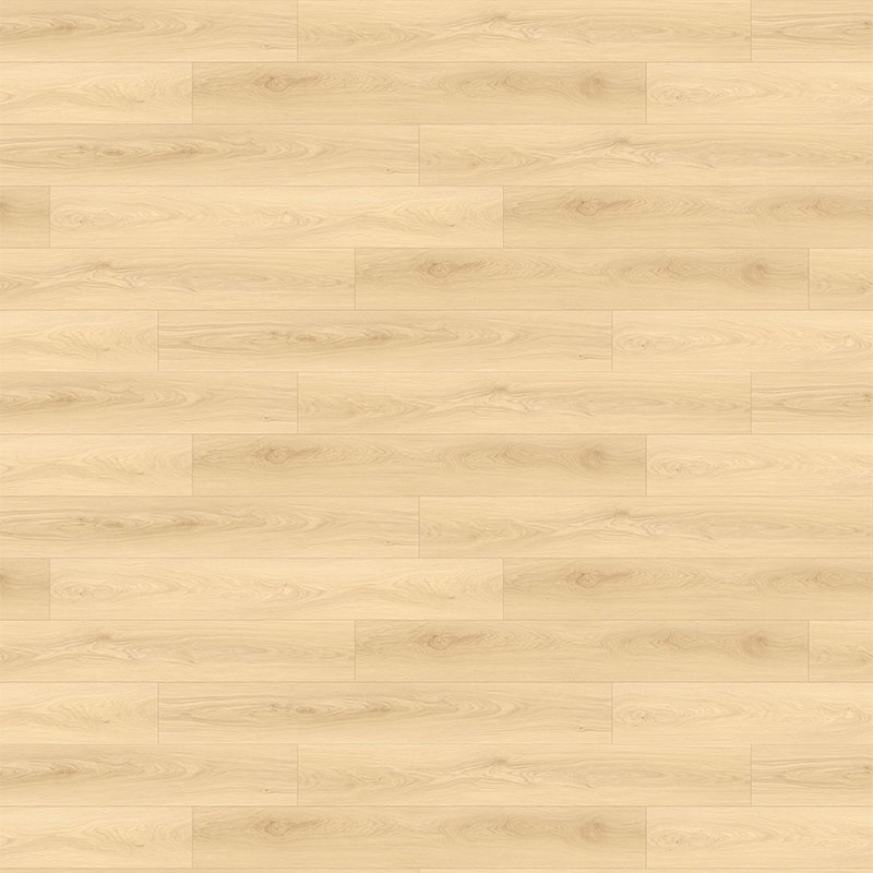 Morning Dew - Image 2