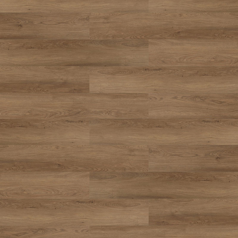 Rainforest - Image 2