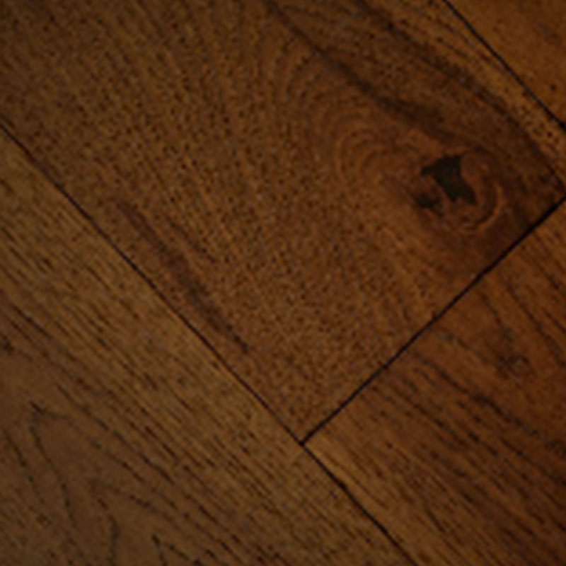 Carya (American Hickory) - Image 2