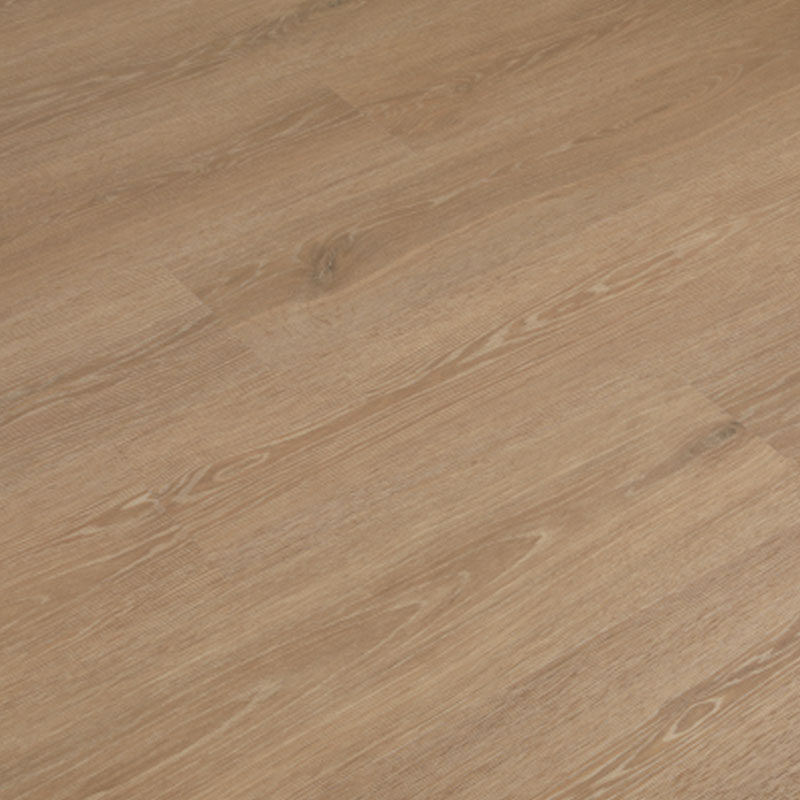 Buckingham - Image 2