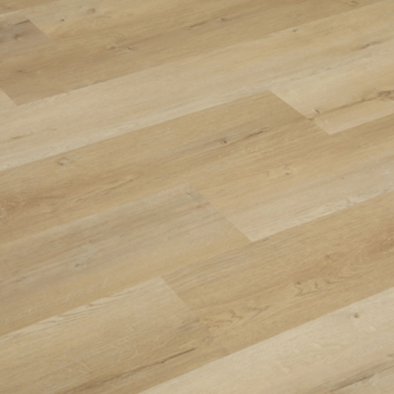 Central Park - Image 2