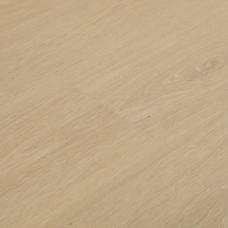 City of Light - Image 2