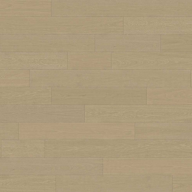 Santa Cruz - Image 2