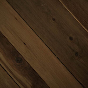 Legacy Australian Cypress