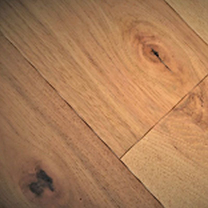 Carya (American Hickory)