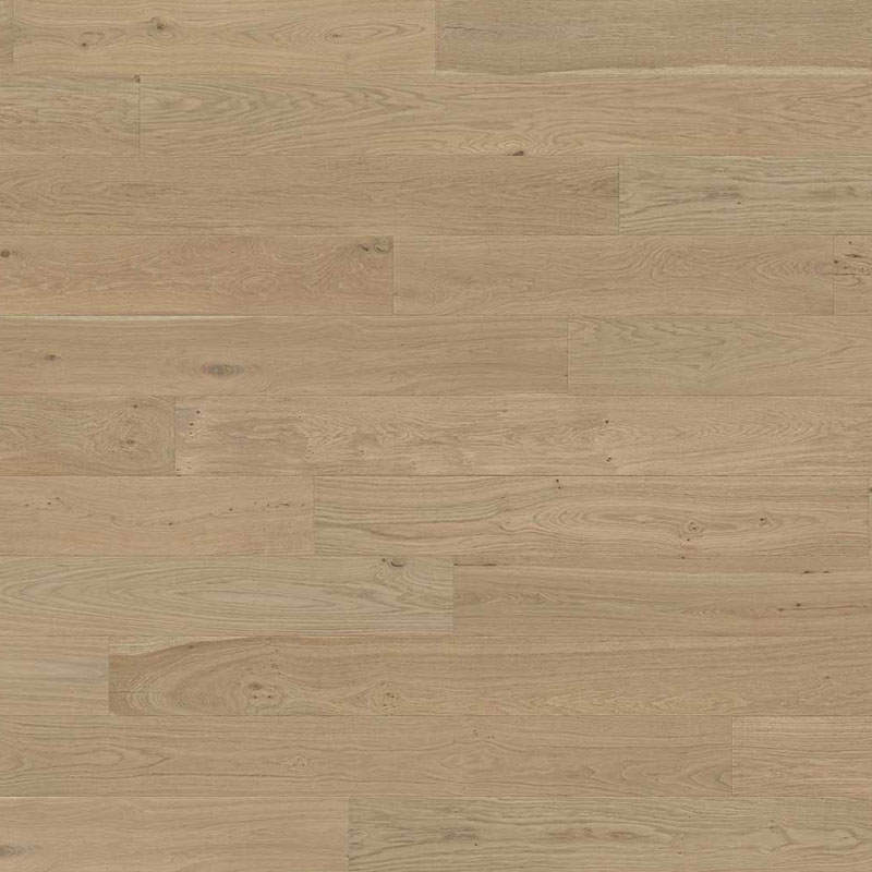 Santa Monica - Image 2