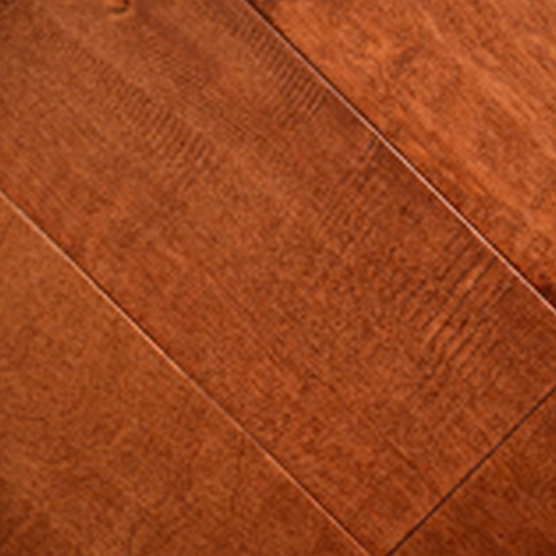 Birch – Eco American - Image 2