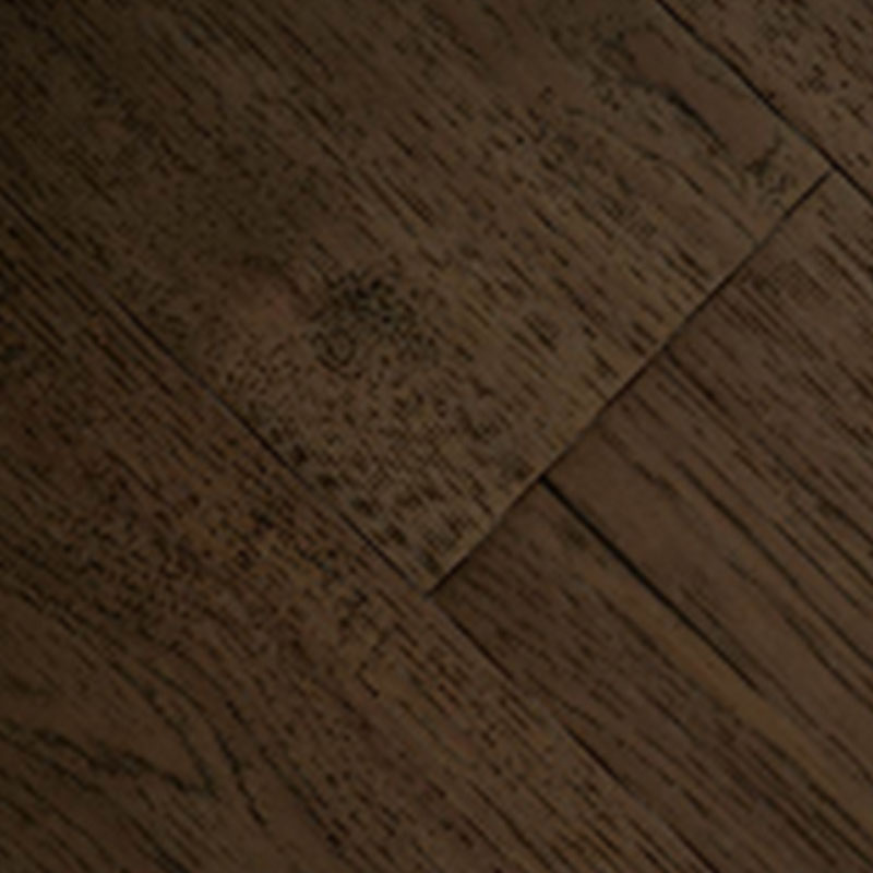 Carya (American Hickory) - Image 5