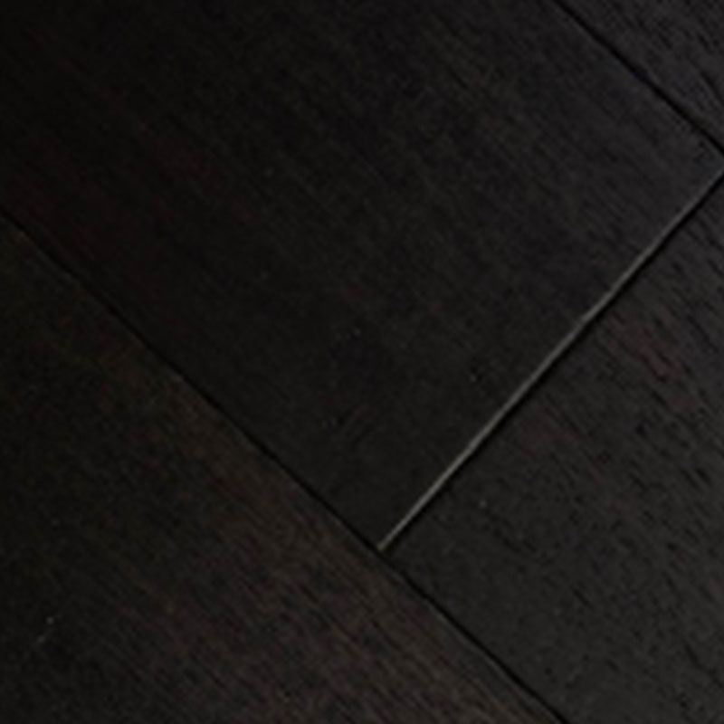 Carya (American Hickory) - Image 6