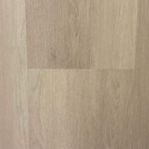 Sand Oak