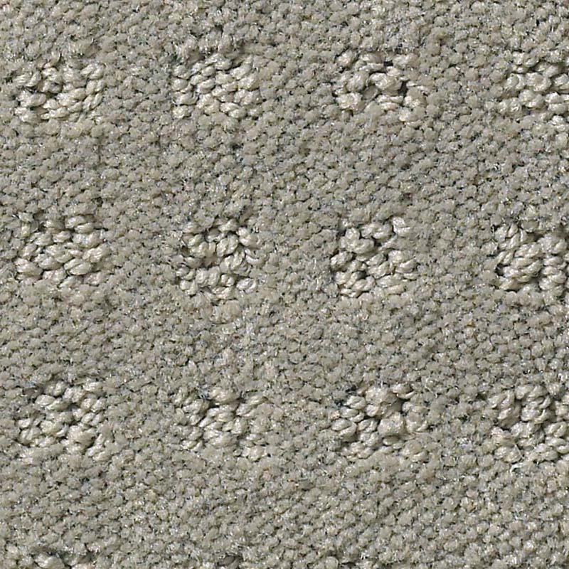 Alluring Disposition - Image 2