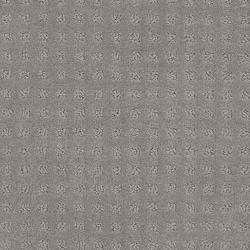 Alluring Disposition