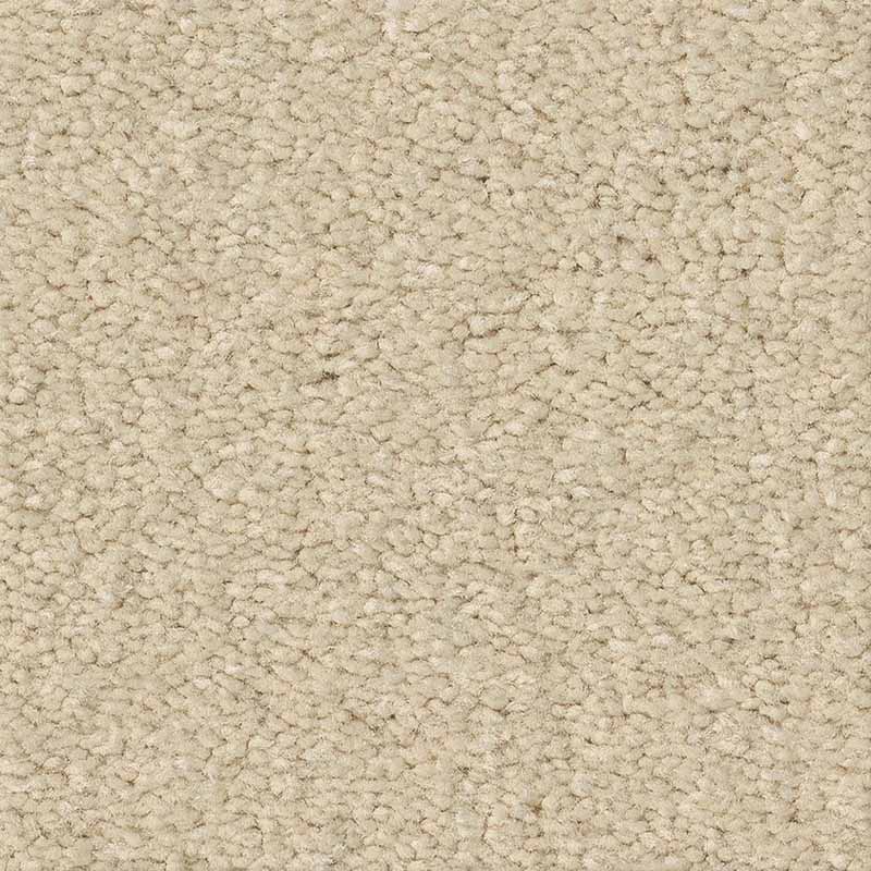 Ultimate Expression 15' - Image 2