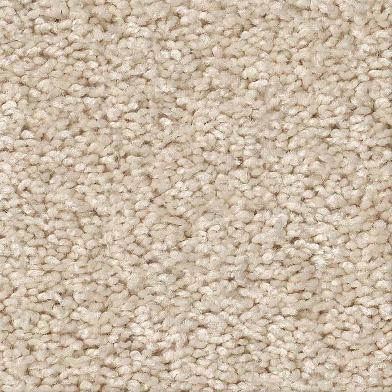 Loyal Beauty I - Image 2