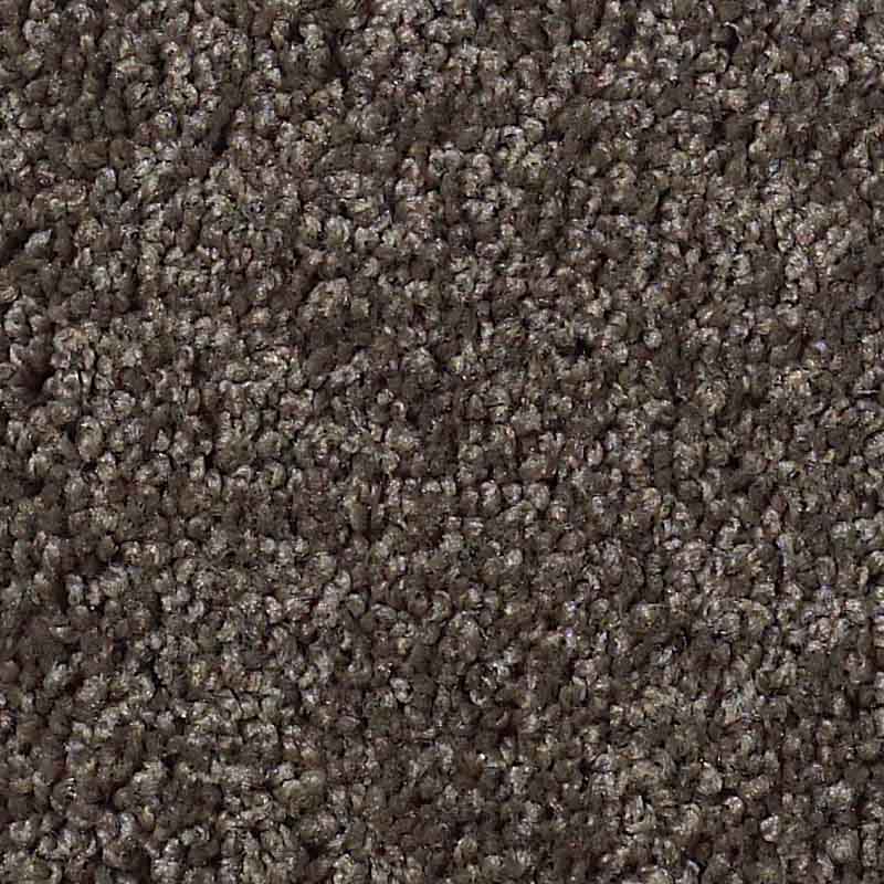 My Choice II - Image 2