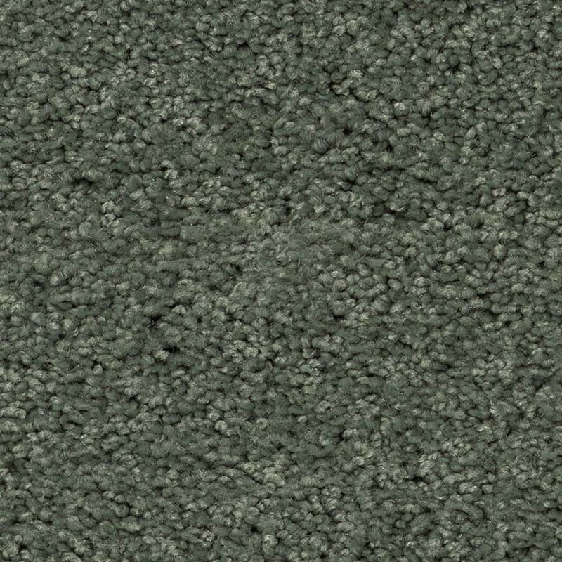 My Choice III - Image 2