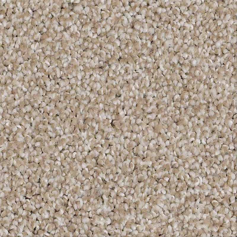 Always Ready II - Image 2