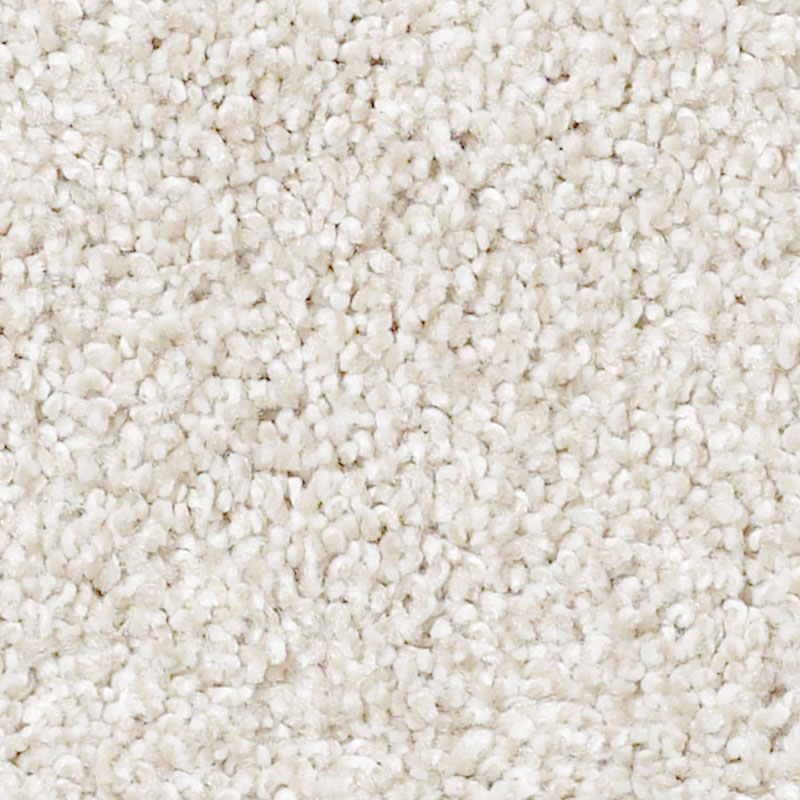 Always Ready I - Image 2