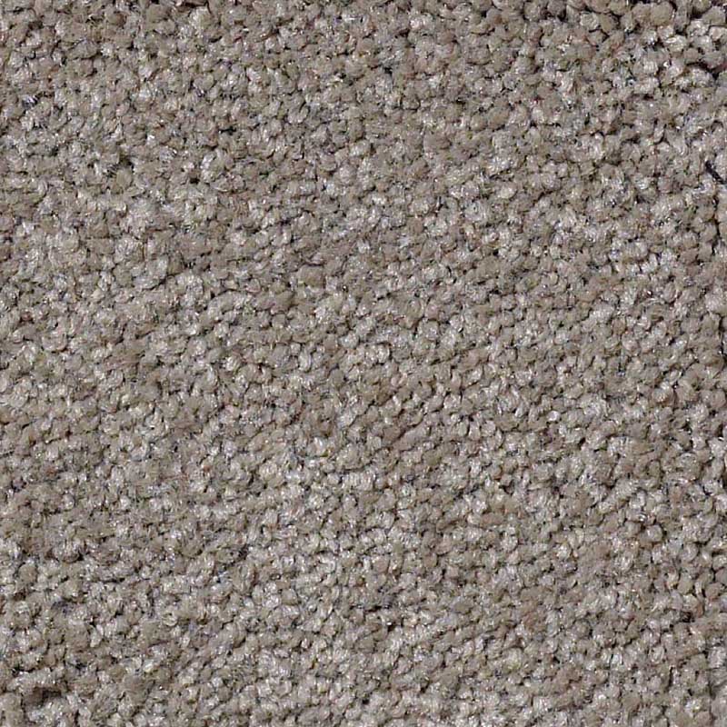 Ultimate Expression 12' - Image 2