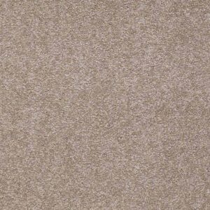 Ultimate Expression 12'