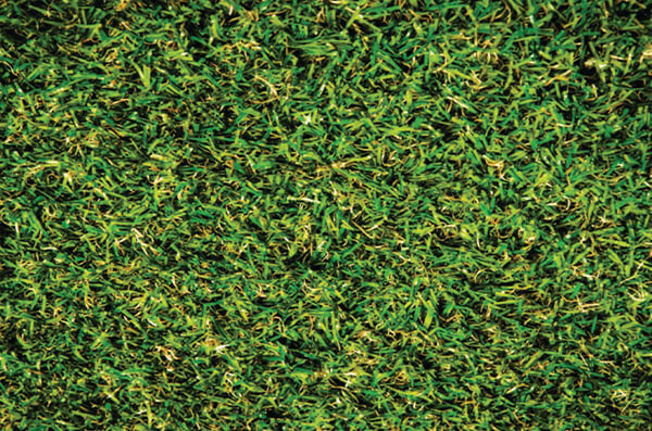 turf_img (1)