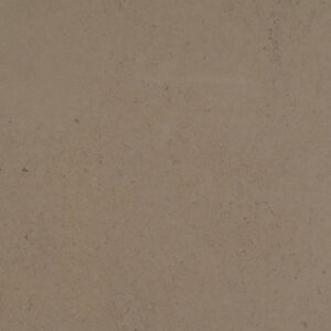Fossil Taupe