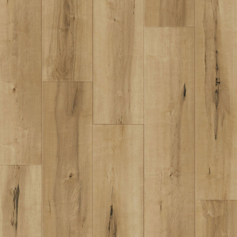 Hickory #1